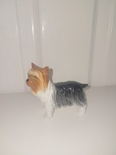 Best of Breed - Yorkshire