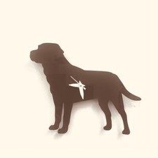 Labrador Dog Wall Clock In Chocolate Brown Acrylic Gift