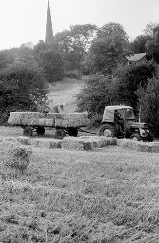 Photo 6x4 loading straw - 6x4,