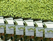 100g Hops - Citra Cascade Mosaic Galaxy Simcoe Saaz Fuggles Zappa etc Home Brew
