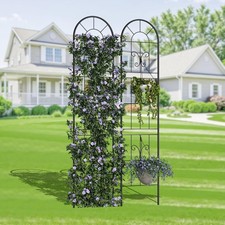 Twin-Pack Iron Garden Arches