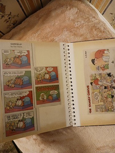 Vintage garfield comics - garfield, cut