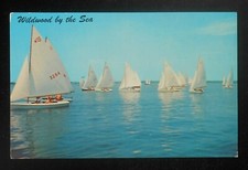 1950s Comet Races on Sunset Lake Greater Wildwood Yacht Club Sails Wildwood NJ