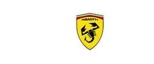 ABARTH WING SHIELDS 100mm