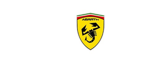 Abarth wing shields - abarth,