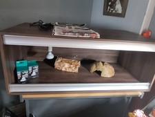 bearded dragon vivarium