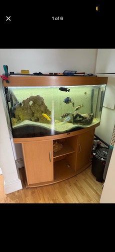 Juwel rio 450l fish tank - juwel,