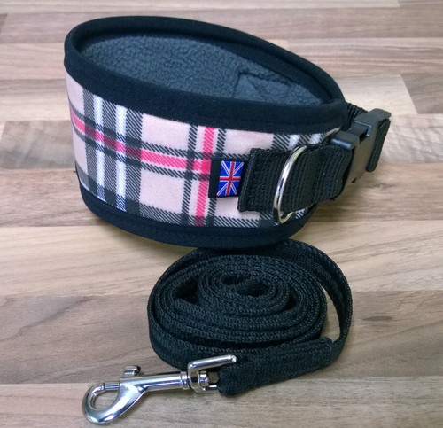 Greyhound lurcher dog collar - lurcher,