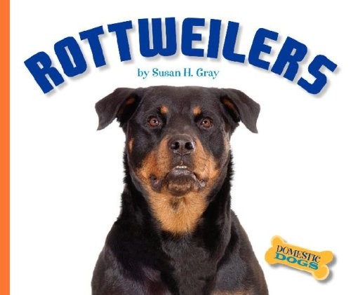 Rottweilers - (domestic, dogs)
