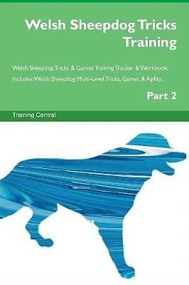 Welsh sheepdog tricks training - welsh,