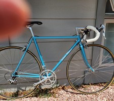 Custom Silver Plume road bike