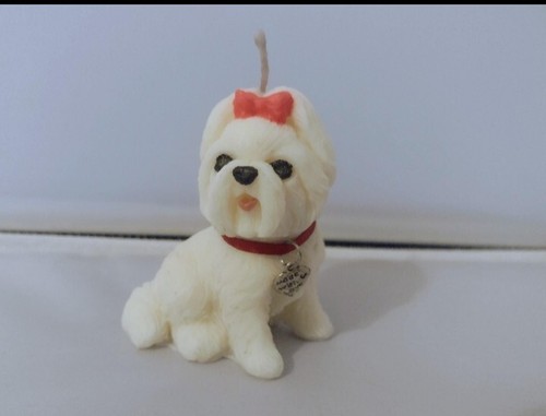 Set cute little maltese - little,