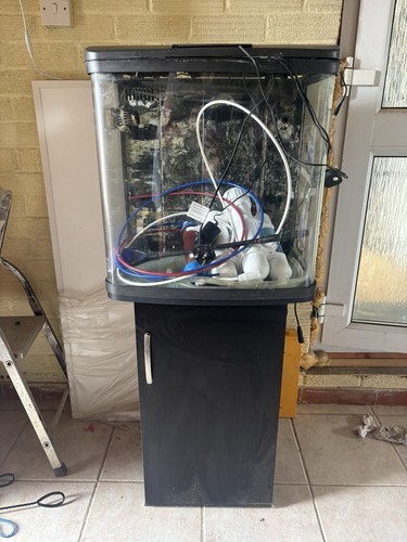 Bowfront glass marine aquarium - glass,