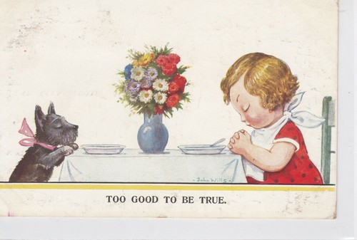 Collectable artist signed - collectable,
