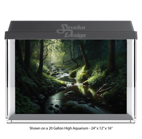 Mystical dark forest - mystical,