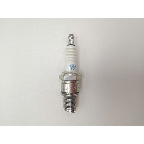 Spark plug standard fits - standard,