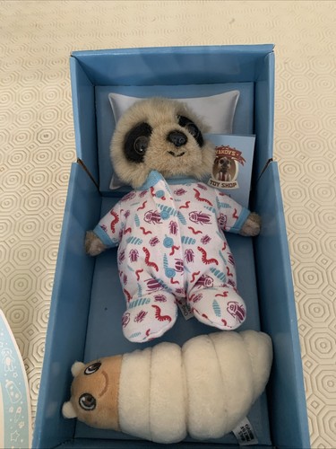 Baby oleg meerkat - meerkat, with