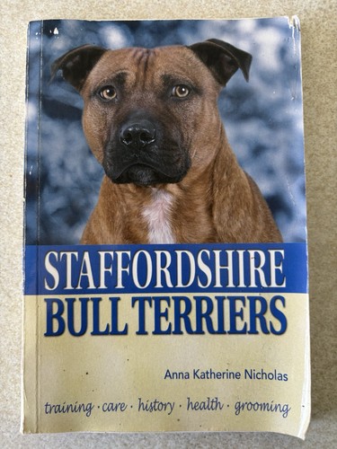 Staffordshire bull terrier - bull,