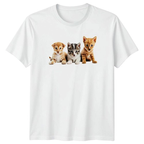 Three adorable kittens peeking - kittens,
