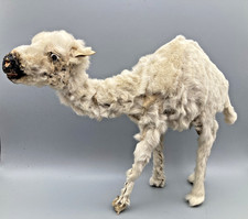 Antique Victorian late 1800s
