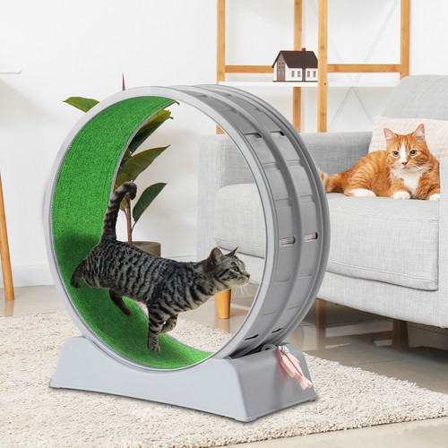 Cat exercise wheel - cat, safe