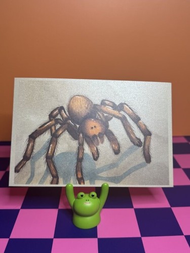 Sister tarantula 4x6 - sister, art