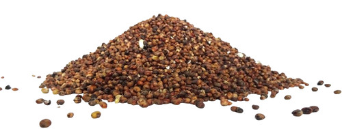 Red dari wild - seed, dove