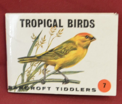 1965 bancroft tiddler pocket - 1965,