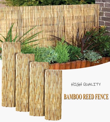 Bamboo cane screening - bamboo, roll