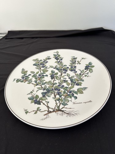 Villeroy boch botanica range - botanica,