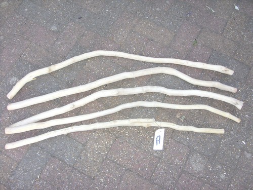 Large driftwood - large,