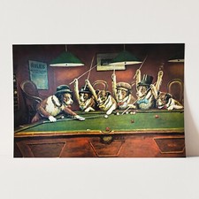 Kelly Pool Dogs Playing