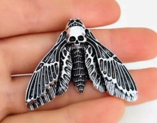 Large Death's Head Hawk Moth