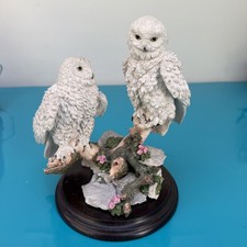 Country Artists 2008 Snowy Owl