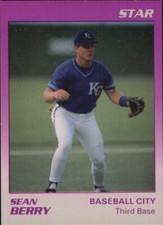 B3106- 1989 Star Minor League