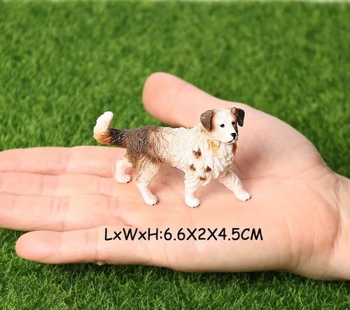Australian shepherd dog animal - dog,