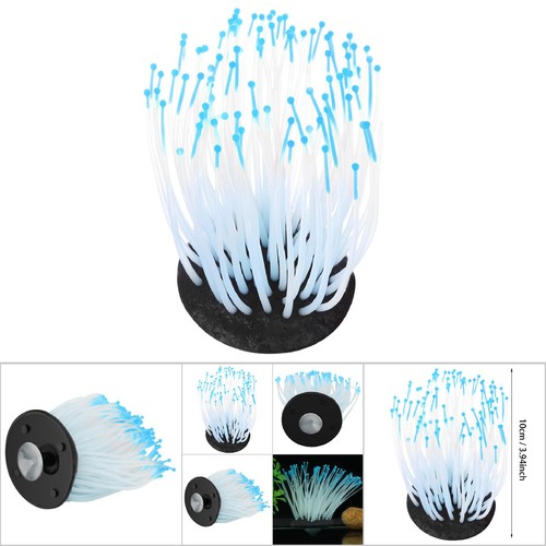 Aquarium coral night - (blue),