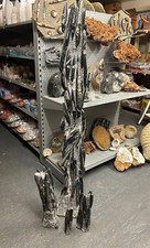 Moroccan natural orthoceras - moroccan,