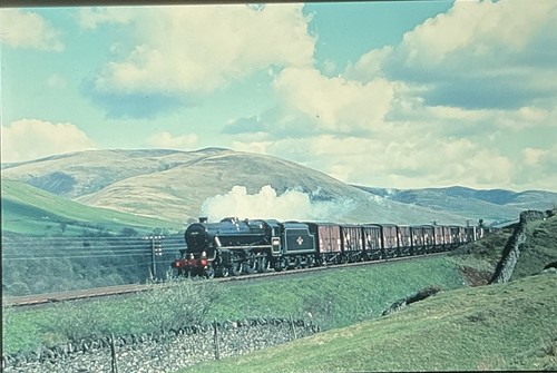 35mm slide steam - br,