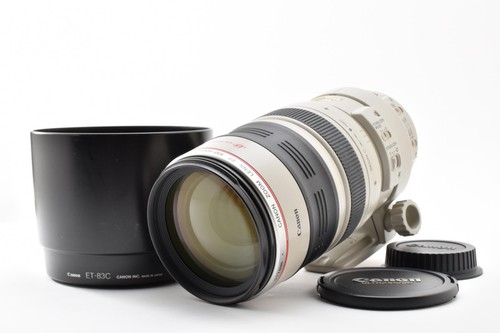 Canon 100 400mm 5 - 100-400mm, l