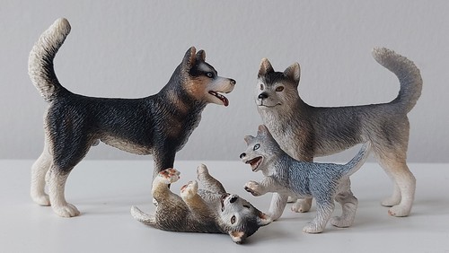 Schleich husky dogs male - schleich, 16371