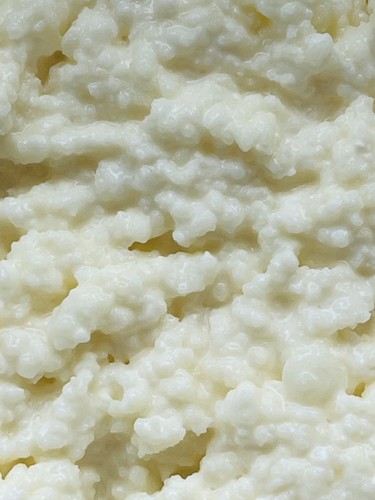 10g live pasteurised milk - 10g,