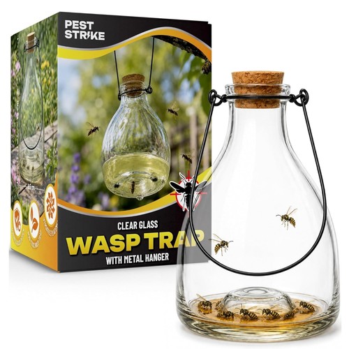 Glass wasp catcher with metal - glass,