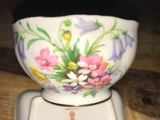 Queen Anne porcelain  Old country spray pattern sugar bowl 