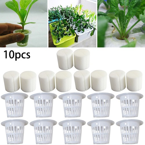 Leeks mesh pot - mesh, leafy
