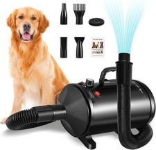 Professional Pet Dryer Dog