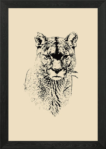 Mountain lion framed wall art - mountain,