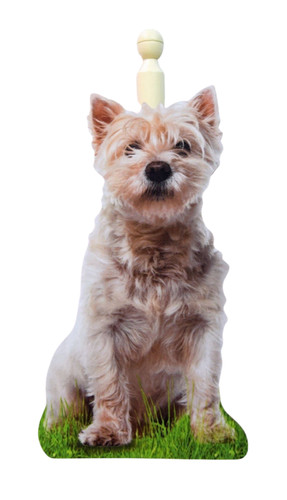 West highland terrier kitchen - west,