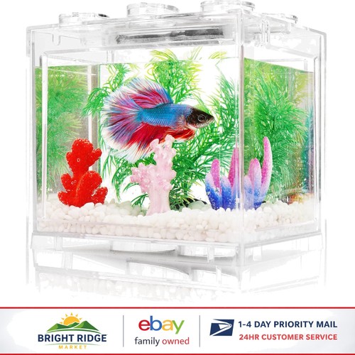 Small acrylic betta fish tank - acrylic,