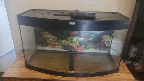 Jewel trigon 190 fish tank - trigon,